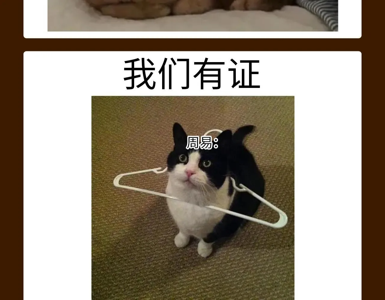 第13期 特别企划：周总梗图的一百种玩法 第5页
