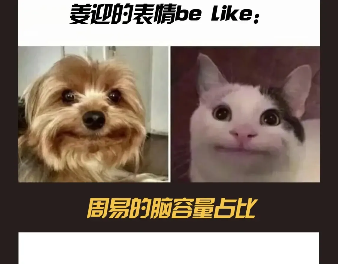 第14期 特别企划：姜迎梗图的一百种玩法 第6页