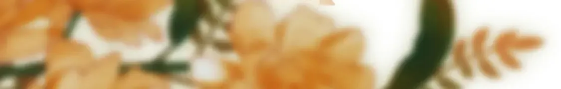 第二十四话 综艺开始 第77页