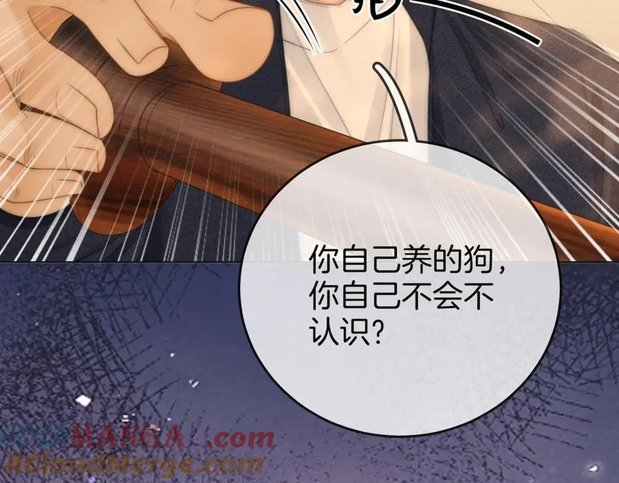 第一百一十六话 爱情的两种结局 第43页