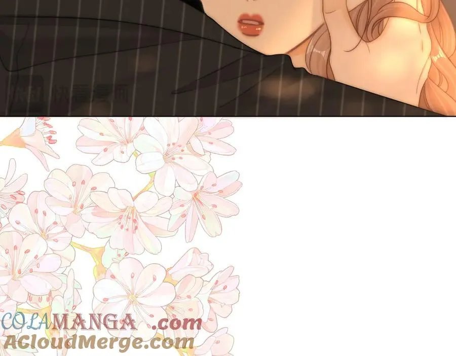 第一百三十八话 心尖上的人 第13页