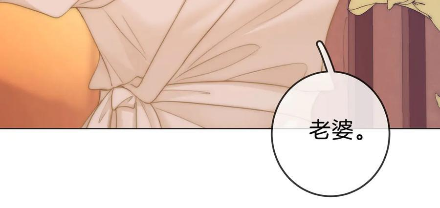 第一百四十六话 谢谢老婆的礼物 第27页