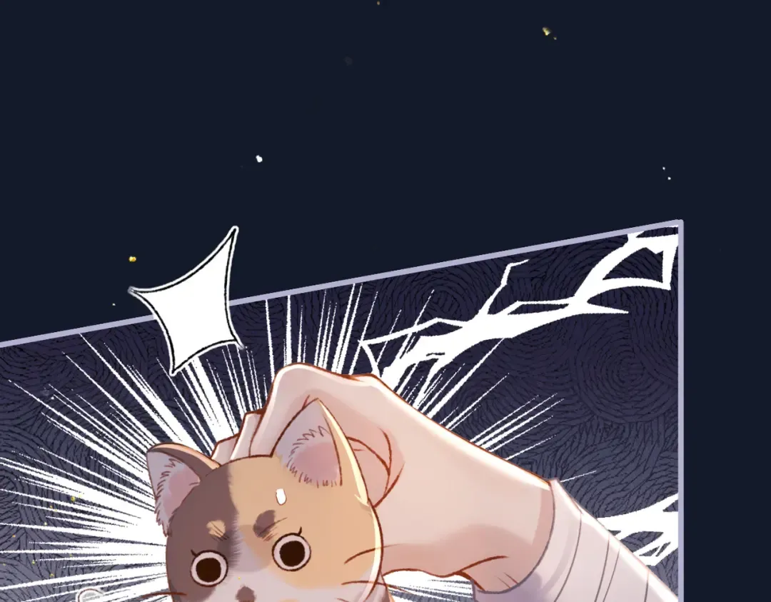第10话 心软 第100页