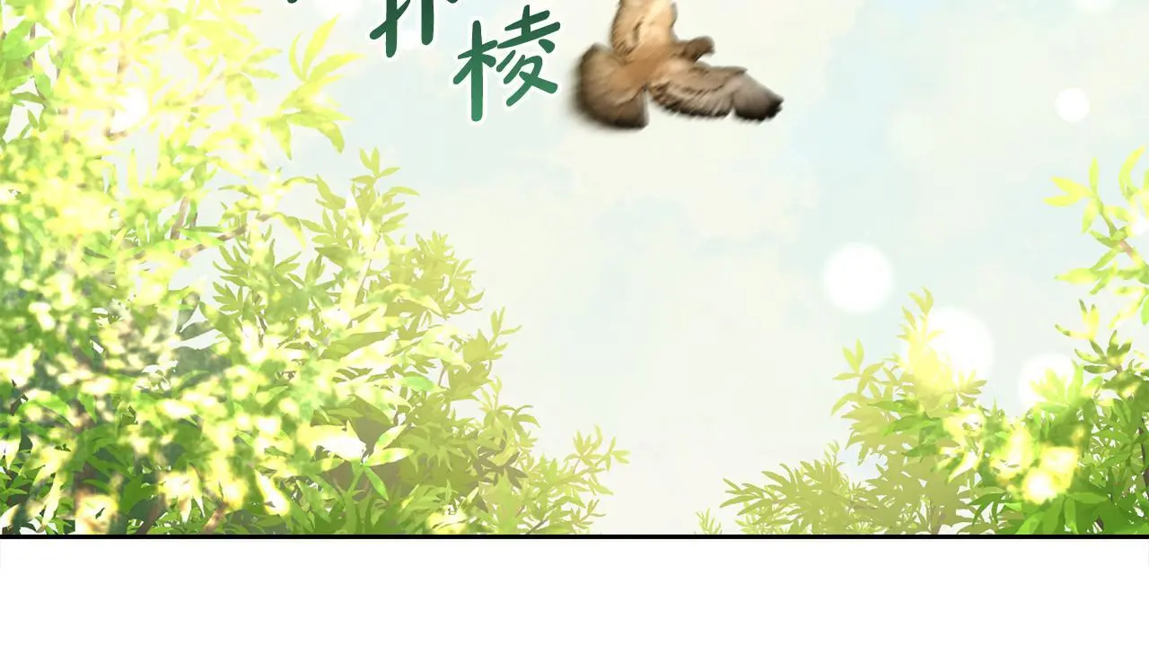 第42话 幸福的早晨 第17页