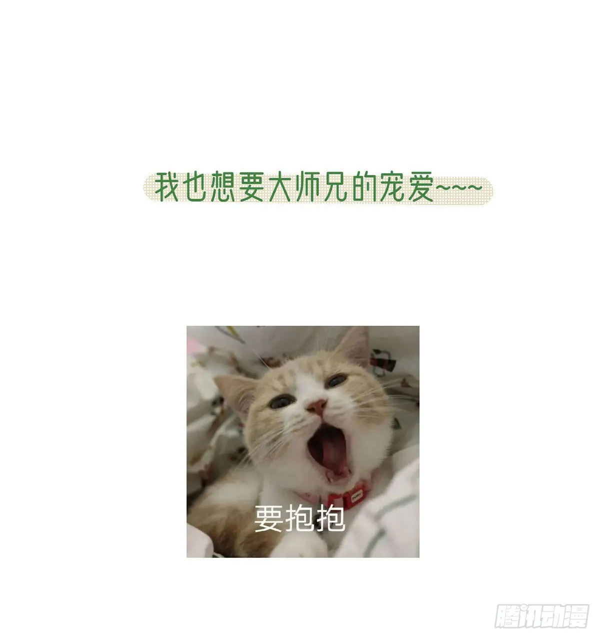 要和师兄贴贴 第71页