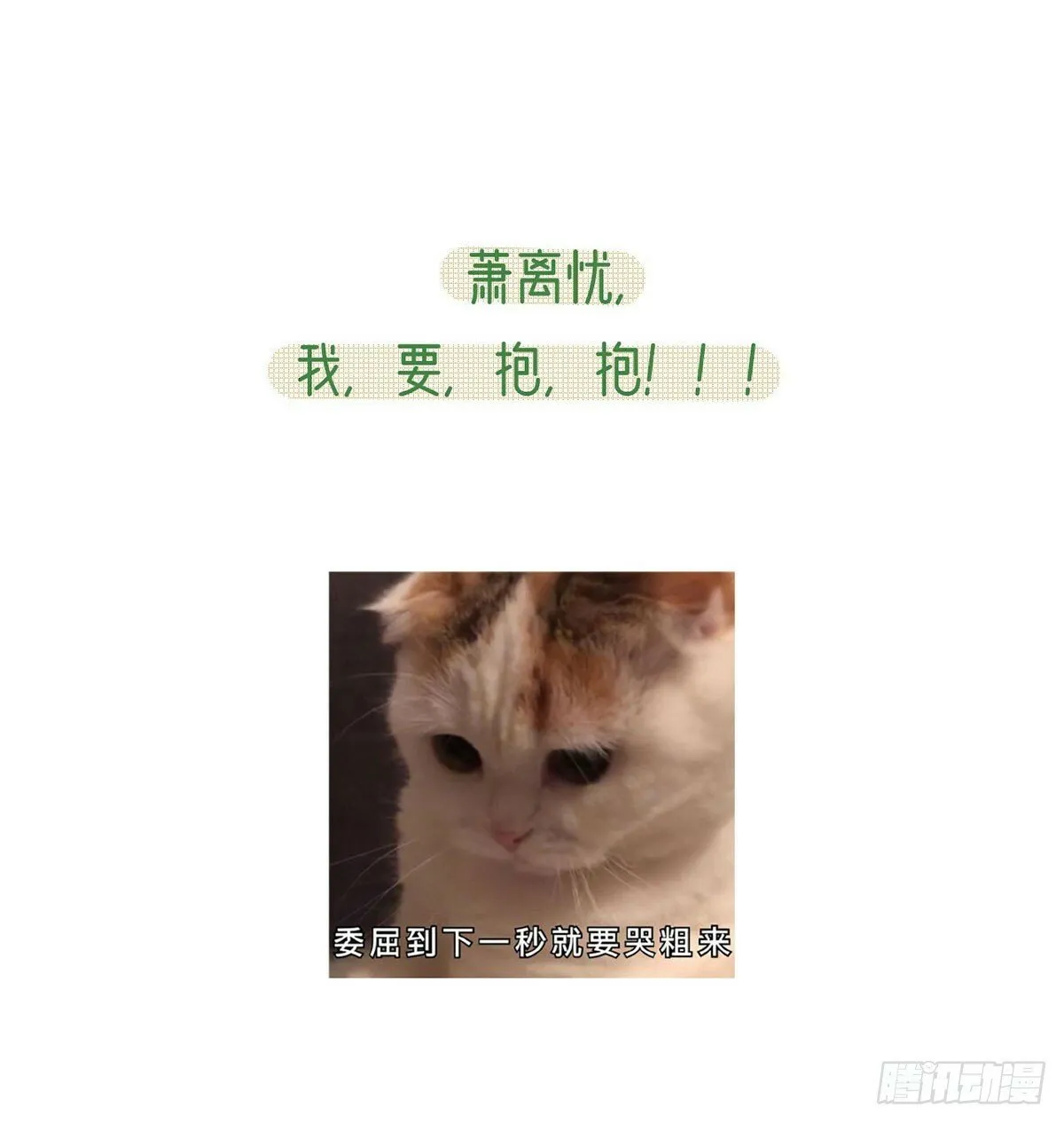 将军回来了 第77页