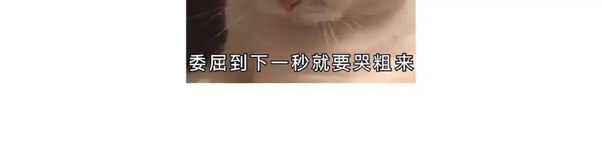 第89话 将军回来了 第152页