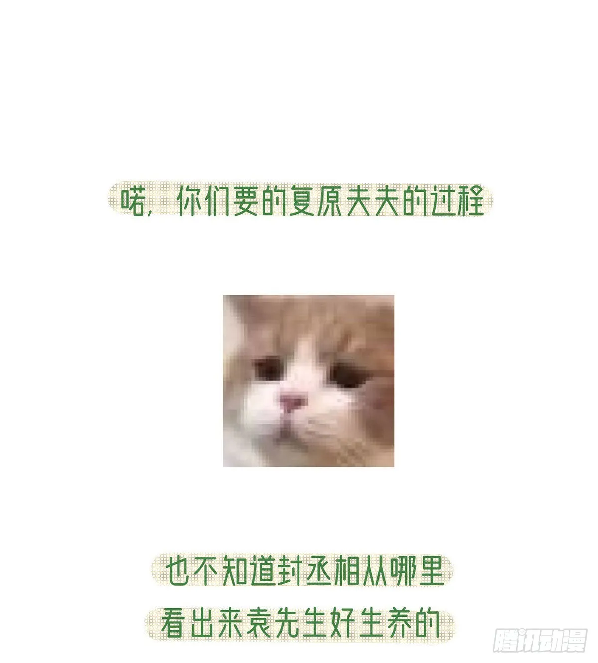 凌家陨落 第71页