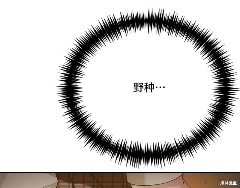 第18话 第233页
