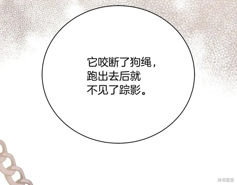 第3话 第219页