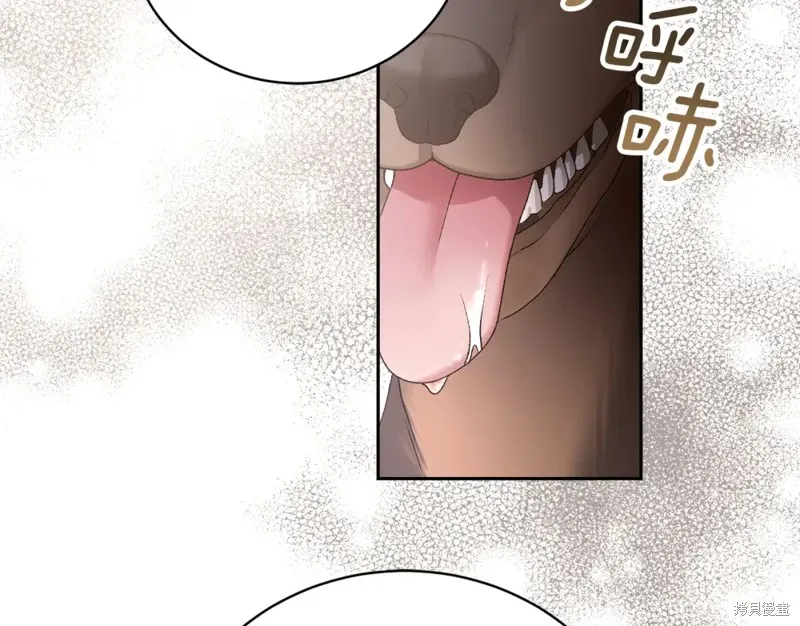 第3话 第222页