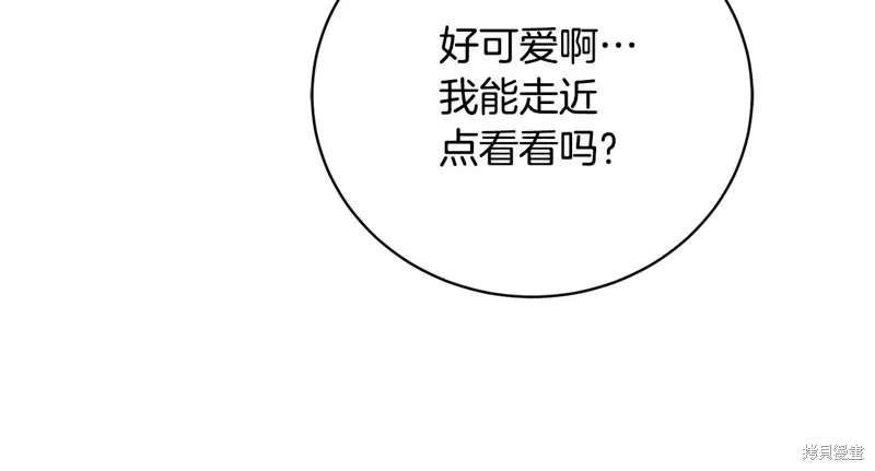 第53话 第31页