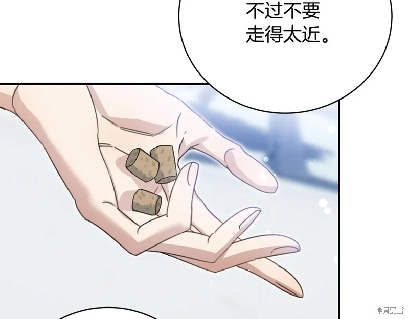 第53话 第33页
