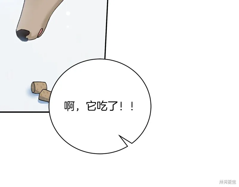 第53话 第37页