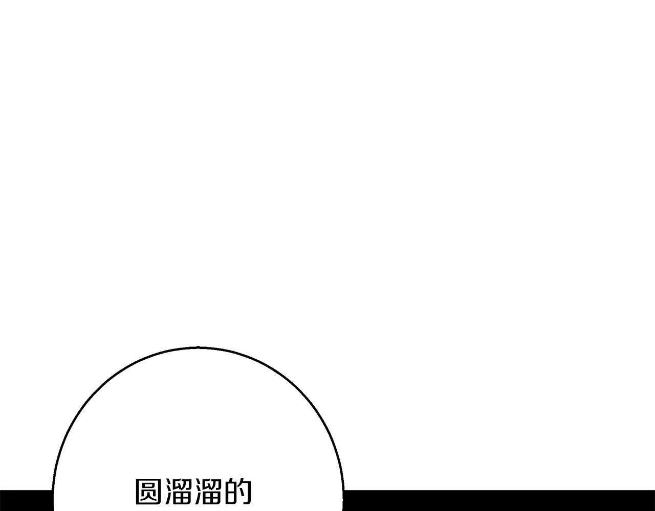 第27话 异常的结构 第168页