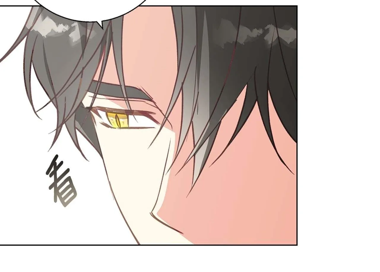 第15话 俊美的闯入者 第50页
