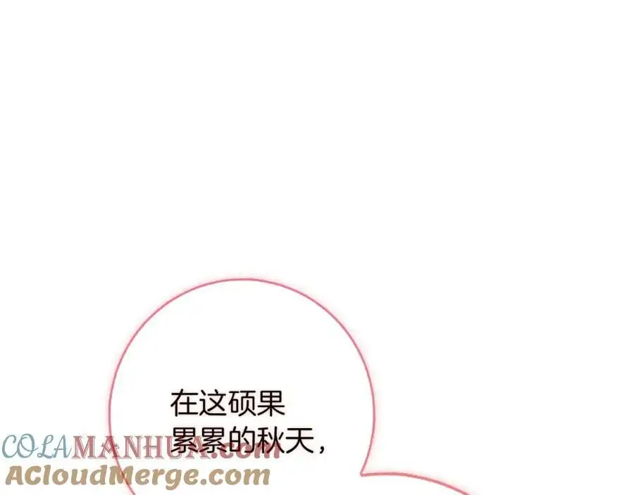 第55话 受祝福的婚姻 第29页