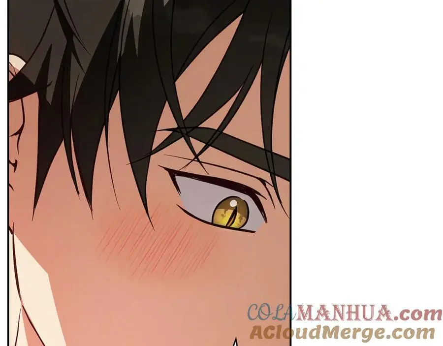 第55话 受祝福的婚姻 第197页