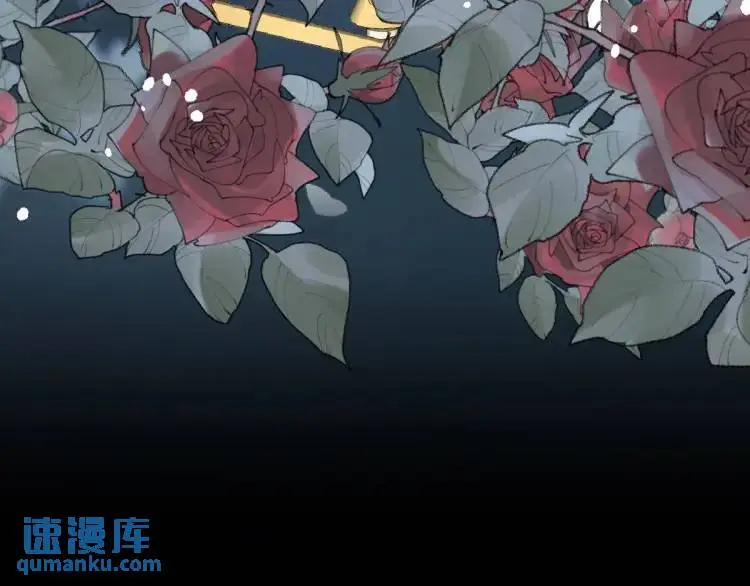 17 莉拉的处境 第33页