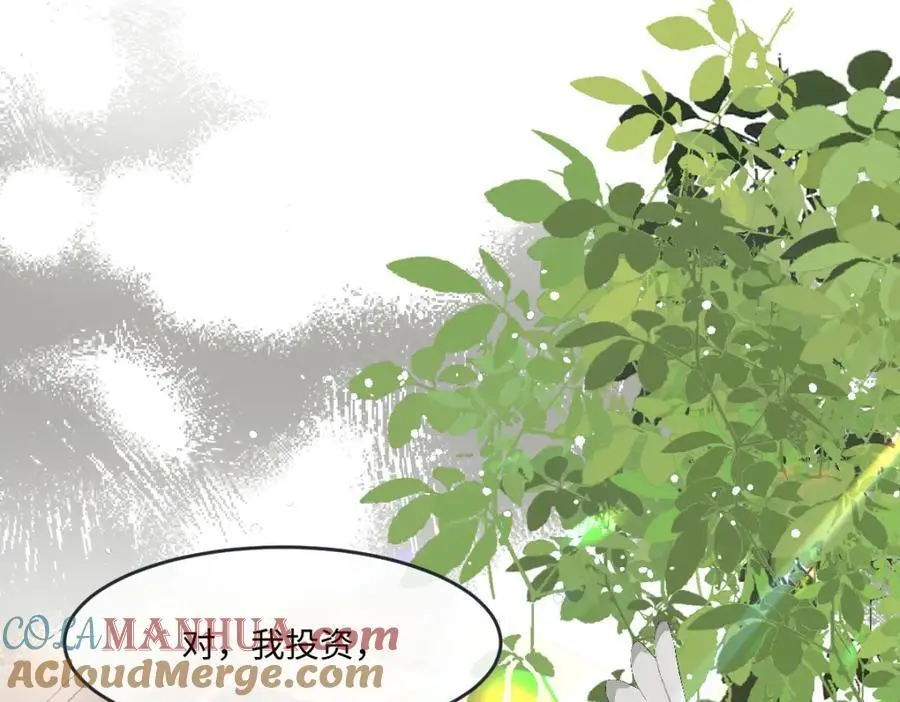 25 我投资，你管理 第41页