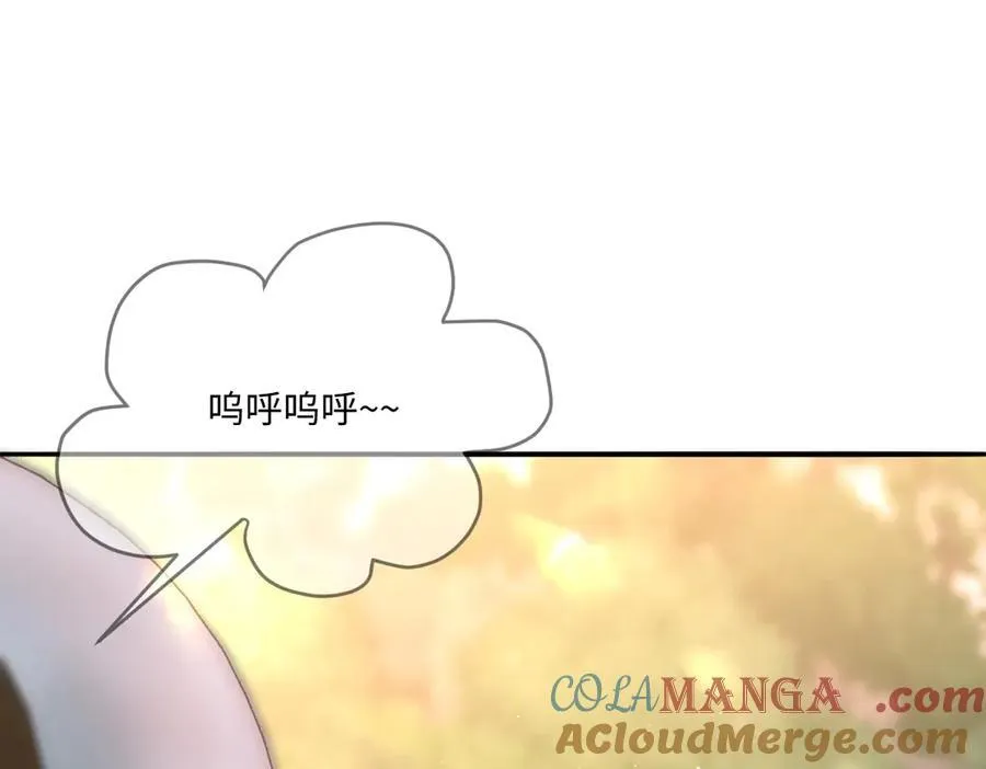 47 绝对实力 第37页