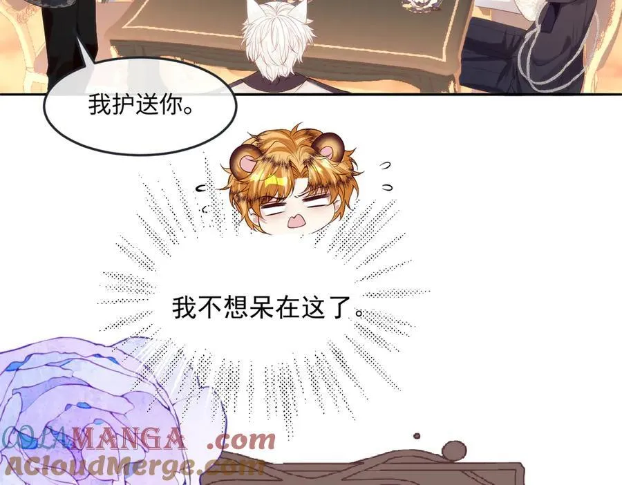 53 丈夫人选 第43页