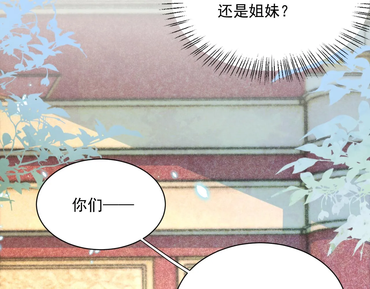 第74话 兔子被封妃 第41页