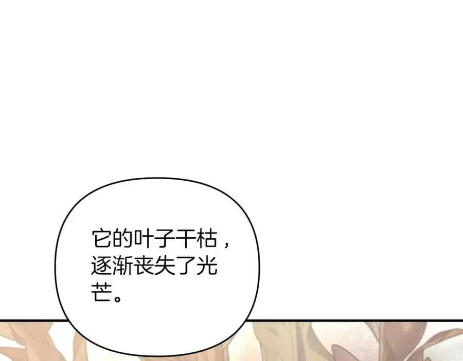第37话 另一个黛西树精 第148页