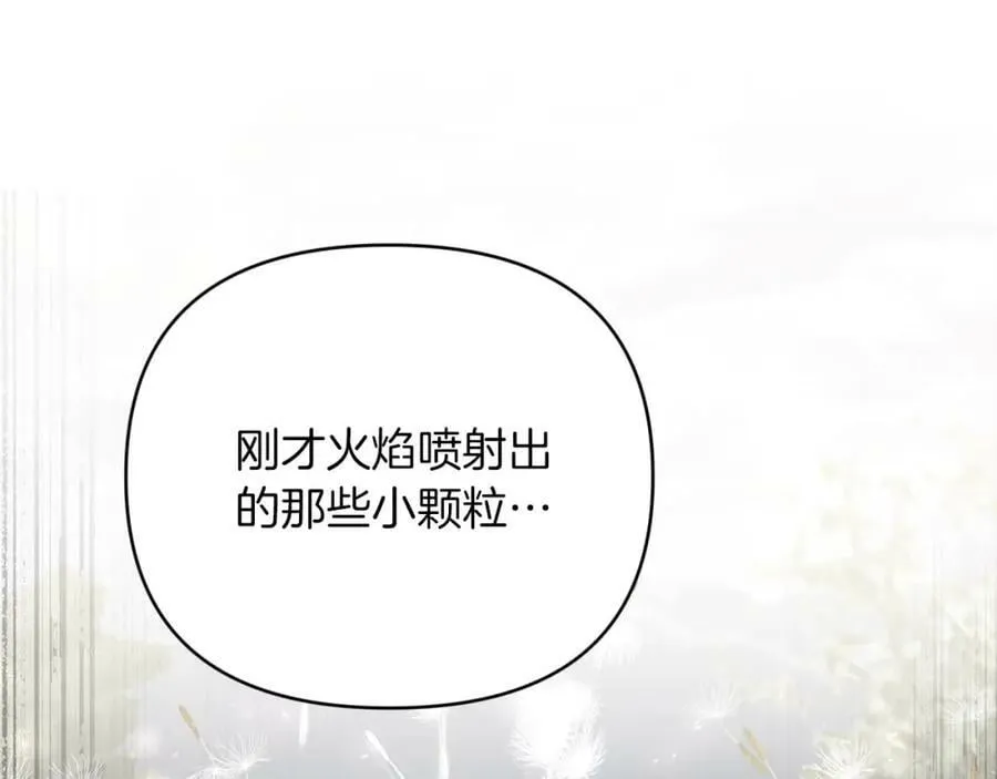 第28话 被火焰吞噬的灵魂 第46页