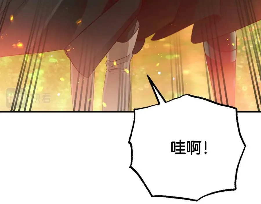 第26话 同种族的交谈 第175页