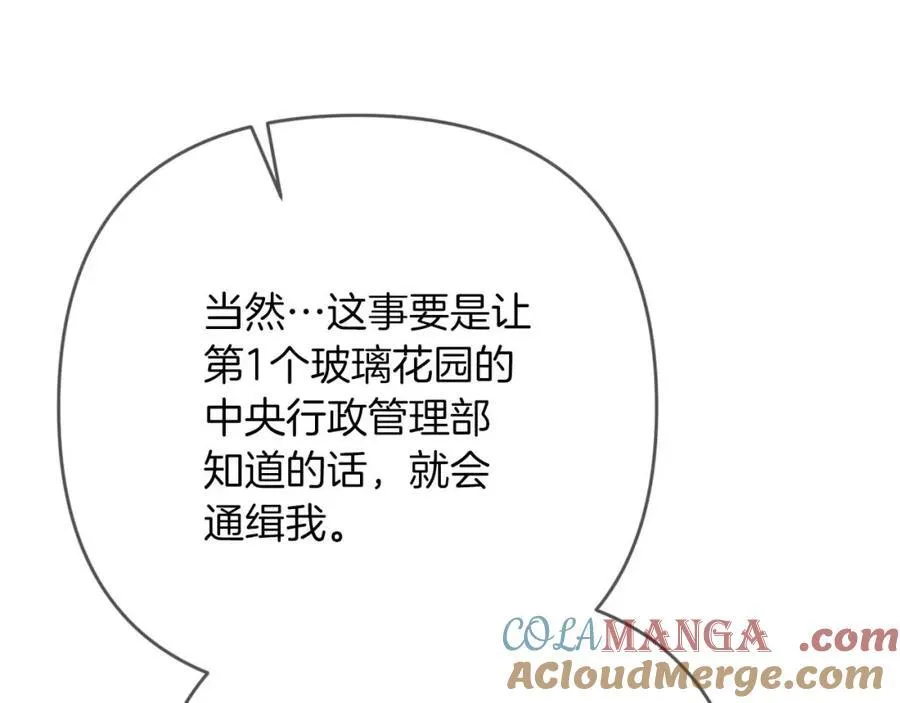 第73话 一切的元凶 第185页