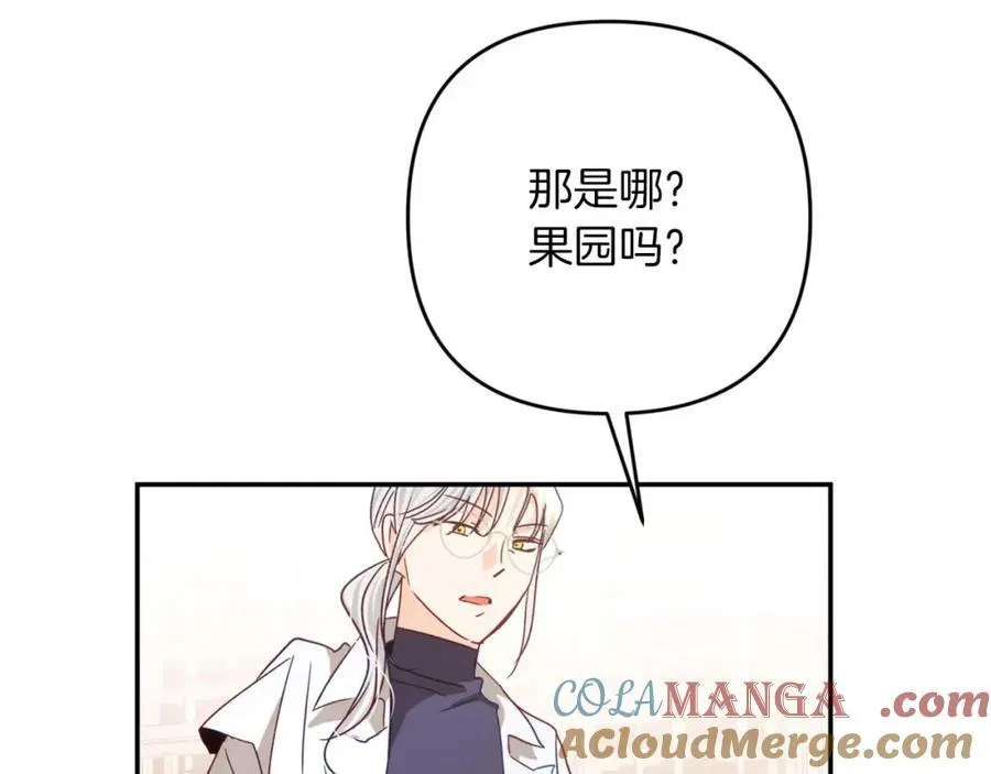 第74话 第16个玻璃花园的秘密 第25页