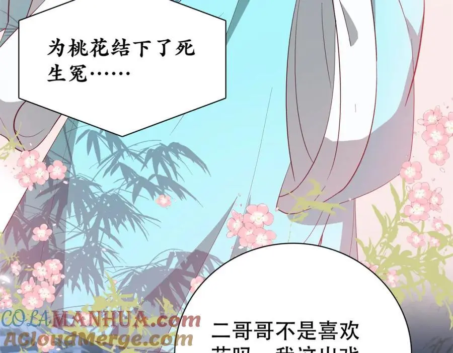 42 送给二哥哥的贺礼 第33页