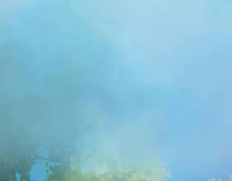 第17话 谁要你侍寝！？ 第23页