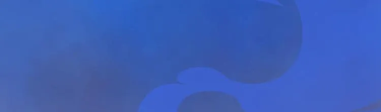 第17话 谁要你侍寝！？ 第143页