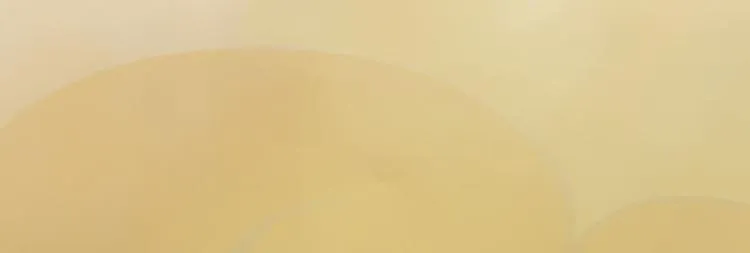 第18话 陛下叛逃？！ 第74页