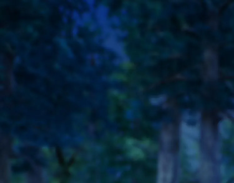 第19话 暴露！？ 第13页