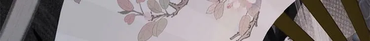 新作上线，快快关注吧！ 第19页