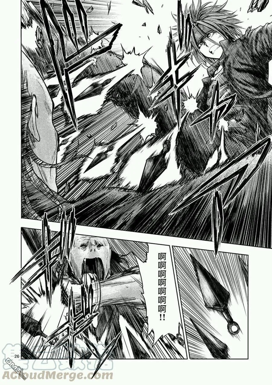 47 共同战斗 第25页