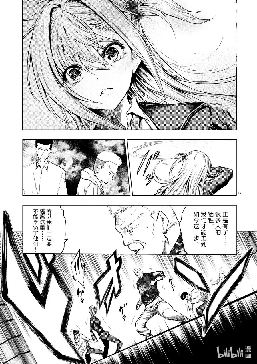 144 144 第17页