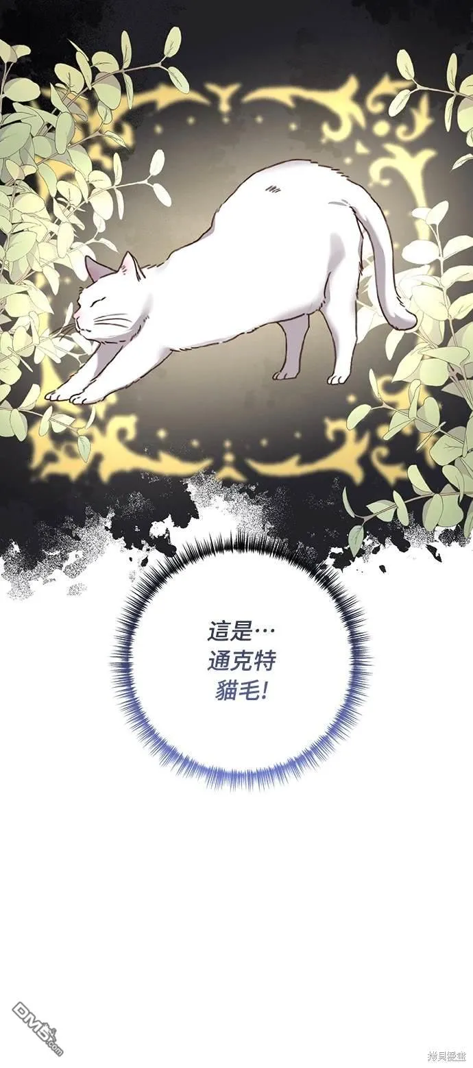 第54话 第50页