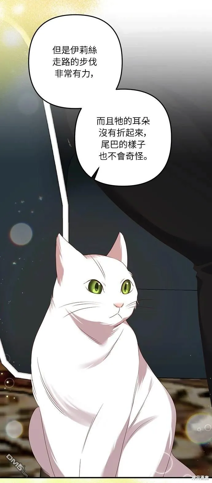 第55话 第37页