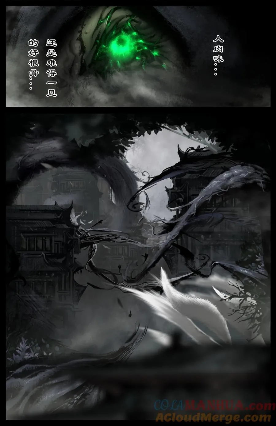 321 又是一个好根骨 第15页