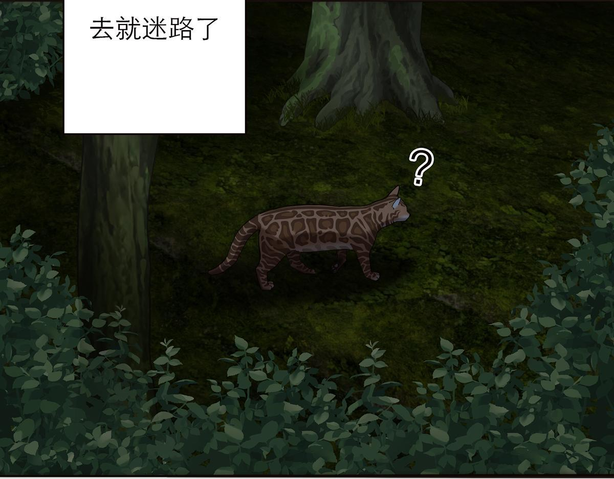 暴暴番外 第7页