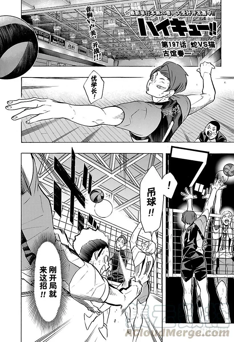 第197话 蛇VS猫 第1页