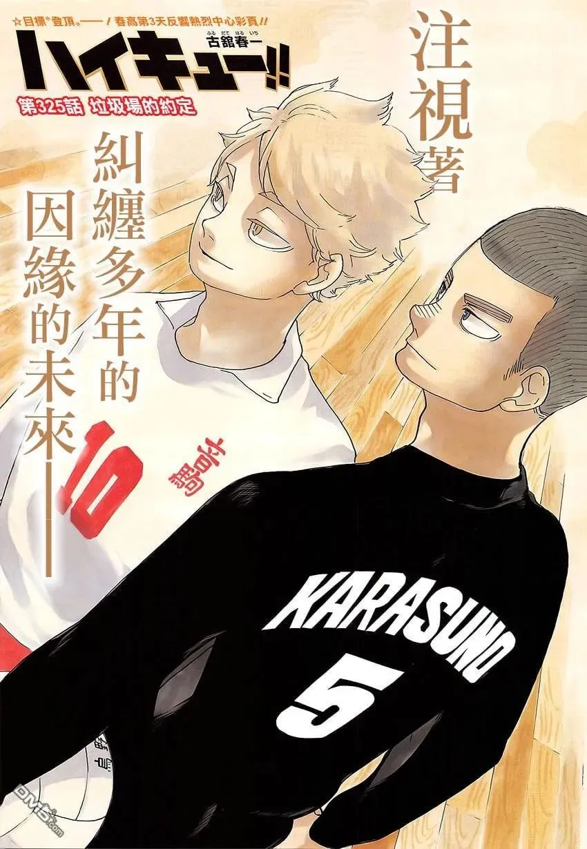 第325话 垃圾场的约定 第2页