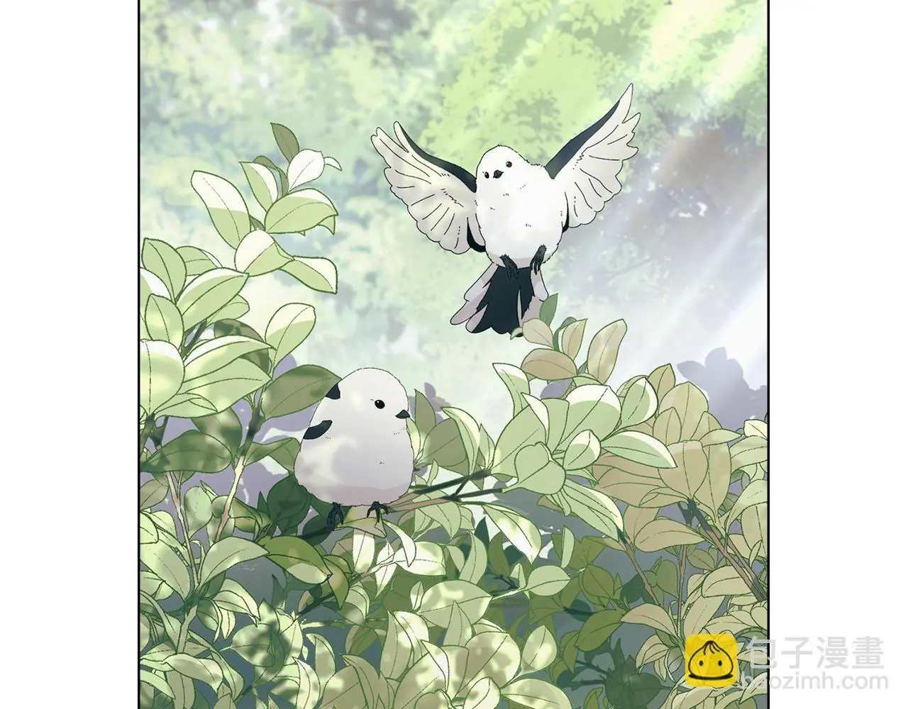 第12话 最佳选择 第63页