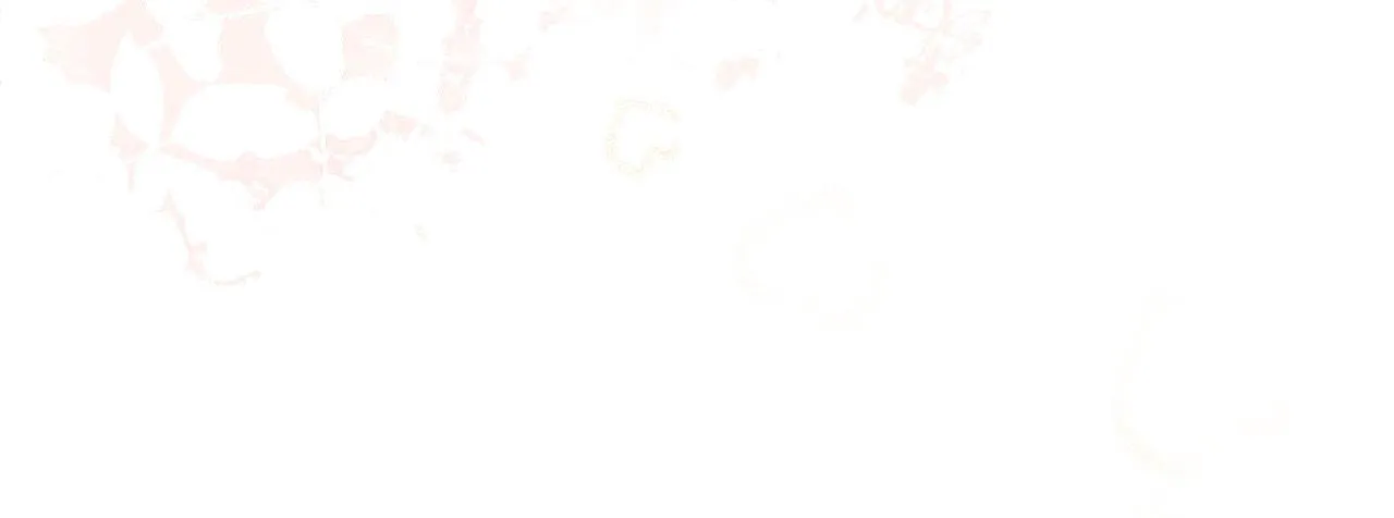 第34话 表明爱意 第65页