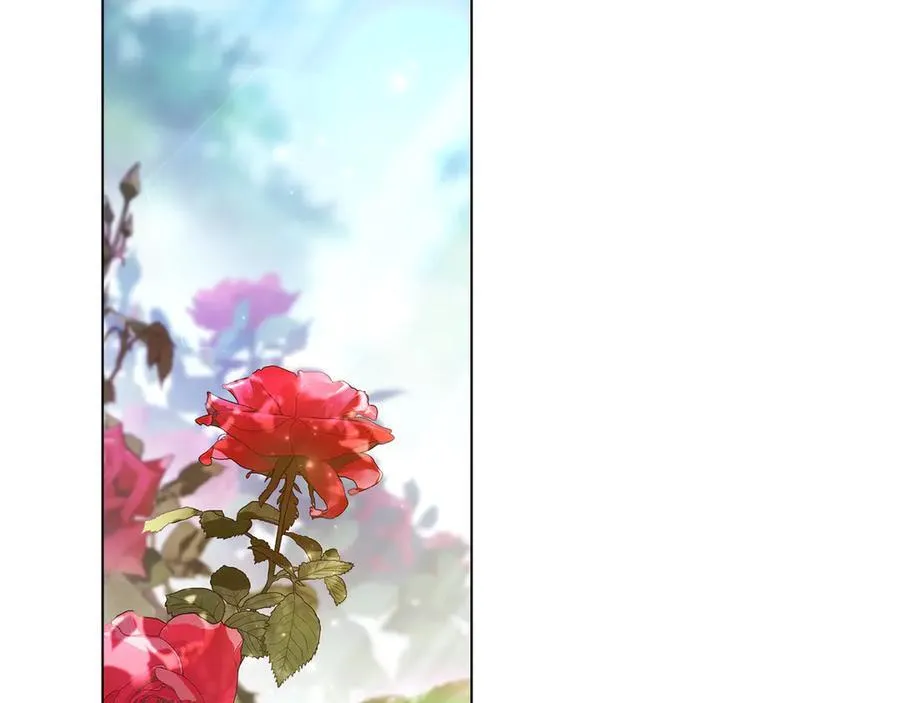 完结篇 美好的结局 第2页