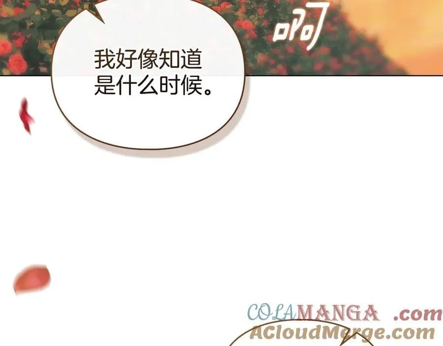 完结篇 美好的结局 第129页